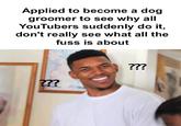 I don't get it | /r/memes Applied to become a dog groomer to see why all YouTubers suddenly do it, don't really see what all the fuss is about ??? ???
