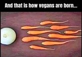 And that is how vegans are born...
