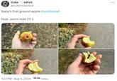 Cuke edtwt @cukencayenne Baby's first ground apple #zombietwt Feat. worm hole (?) :) 1:27 PM - Aug 4, 2024. 10.9 Views ...