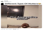 lil arab @sweatyhairy Different Type Of NuttersⒸ "The Aggressive Nutter" 4:54 AM Dec 7, 2023 713.2K Views