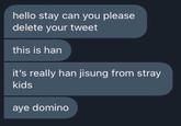 hello stay can you please delete your tweet this is han it's really han jisung from stray kids aye domino