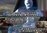 WHAT ABOUT THE DROID ATTACK ON THE WOOKIES BUT WHY IS THE RUM GONE WHERE WAS GONDOR WHEN THE WESTFOLD FELL