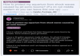 Help/Advice How to protect my aquarium from shock waves caused by jet sonic booms? (P.s im not middle eastern so you can leave this one up) i.redd.it Submitted 2 days ago by Careful_Purchase_394 1 comment share save hide report hide all child comments r/Aquariums u/WassufWonka • 2d How to protect my aquarium from shock waves caused by jet sonic booms? Help/Advice I live in Lebanon and there has been frequent jet sonic booms by Israelis. Some windows glass got broken. I have a 33 gallon aquarium made of glass. I'm afraid if it breaks. What can I do to protect it from shock waves? Should I cover it with yoga matt? Foam matt or something? That will create another problem where it will raise the temperature of the tank. I have it in my bedroom and I am keeping the window opened so it won't break. 533 108 Comments D 95