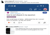 enter shakira @BARFJAMIN • Aug 9 sat refreshing new posts. I'm gripped. hook, line and sinker 21:39 r/Aquariums u/Dee-chelete22.1m How to sort dispute in my aquarium Help/Advice Join Fish small keep on being obliterated How do I convert them to Zionism so they are saved 0 -20 Careless CRISPR @xieish Aug 9 y aquarium from shock w • They deleted this post on the r/aquariums forum and now the subreddit is revolting against the mods there has been f en frequent jet s ows glass got broken. quarium made of glass. I'm af tect it from shock waves? Sho their fish die bc they committ m matt or something? That w I raise the temperature of the t om and I am keeping the wind Lago (2ch by aquariums? 108 Comments