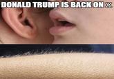 DONALD TRUMP IS BACK ON X