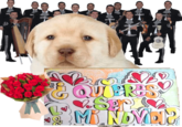 B ¿QUIERES MI NOVIDI? JE