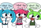What the "What the "What the flip" f---" Skibidi"