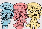 • What the "What the "What the flip" f---" Skibidi " это