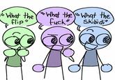 "What the "What the "What the flip" f--- Skibidi