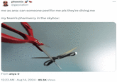 phoenix @gayviatorr me as ana: can someone peel for me pls they're diving me my team's pharmercy in the skybox: From anya 12:23 AM - Aug 14, 2024 85.5K Views