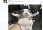 creature (i.redd.it) 18.0k ☑ submitted 1 month ago by DahniHeartempest 261 comments share save hide report crosspost hide all child comments r/Weird u/PineappleVortex. 2h Unknown creature found in the parking lot of Wisconsin Join