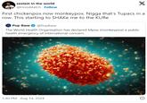 sexiest in the world @HossMatch Follow X First chickenpox now monkeypox. N---- that's Tupacs in a row. This starting to SHAKE me to the KURE Pop Base @PopBase The World Health Organisation has declared Mpox (monkeypox) a public health emergency of international concern. 1:40 PM - Aug 14, 2024