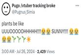 Pugo /vtuber tracking broke @Pugnus Simia plants be like UUUOOOOOHHHHH!!!! ༽ aarrr☀ → SUNNY!!!! → To 3:00 AM Jul 26, 2024 2,429 Views