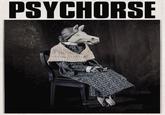 PSYCHORSE