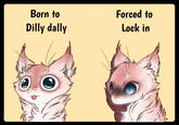 Born to Dilly dally Forced to Lock in