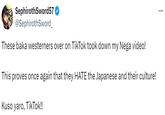 SephirothSword57 @SephirothSword_ These baka westerners over on TikTok took down my Nega video! This proves once again that they HATE the Japanese and their culture! Kuso yaro, TikTok!!