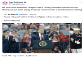 Fred Delicious @Fred_Delicious He looks like a bearded dragon that is usually allowed to roam around the house but can't today because relatives with a small child are visiting AF. AF Post @AFpost • Aug 16 Trump will speak behind bullet-proof glass at future outdoor rallies. Follow: @AFpost 12:25 PM Aug 17, 2024 2.2M Views ENT OF
