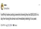 W ness @nessfoxx furaffinity hacker posting screenshot showing they lost $300,000 in a day from having the domain and immediately deleting it is so peak 8:54 PM ⚫ Aug 20, 2024 1M Views :