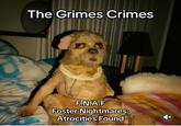 The Grimes Crimes F.N.A.F Foster Nightmares: Atrocities Found