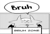 Bruh BRUH ZONE