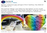 Pop Base ✔ @PopBase Follow Sphen, a famous gay penguin from Sydney, has died at the age of 11. X His partner Magic was taken to see Sphen so he could process his death, he reportedly started "singing" once he saw his partner's body. The two penguins raised two chicks together. 10:49 AM Aug 22, 2024