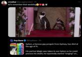 crowbar @yunggbandaid 7h let's remember their wedding 老 Pop Base @PopBase .7h Sphen, a famous gay penguin from Sydney, has died at the age of 11. His partner Magic was taken to see Sphen so he could process his death, he reportedly started “singing” on...