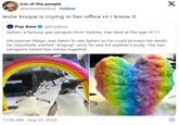 irm of the people @wolstenholme Follow leslie knope is crying in her office rn i know it Pop Base @PopBase Sphen, a famous gay penguin from Sydney, has died at the age of 11. His partner Magic was taken to see Sphen so he could process his death, he reportedly started "singing" once he saw his partner's body. The two penguins raised two chicks together. 11:48 AM Aug 22, 2024 X