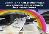 Sphen, one half of Australia's gay penguin power couple, has passed away NBC NEWS