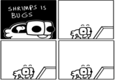 SHRIMPS IS BUGS