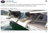Logan Paul pushes his dog overboard, a boat while it's in motion could have potentially killed the dog  And this is okay how X I Am Blue @Iam8lu3. Follow Logan Paul pushes his dog overboard, a boat while it's in motion could have potentially killed the dog And this is okay how To assit full screen, press Esc 4:03 AM - Aug 23, 2024