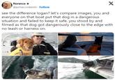 see the difference logan? let’s compare images, you and everyone on that boat put that dog in a dangerous situation and failed to keep it safe, you stood by and filmed as that dog got dangerously close to the edge with no leash or harness on. florence✰ @pchaccoskevin. Follow X see the difference logan? let's compare images, you and everyone on that boat put that dog in a dangerous situation and failed to keep it safe, you stood by and filmed as that dog got dangerously close to the edge with no leash or harness on.