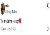 gallo @dieluqy Follow You are Latina enough 12:24 AM Aug 25, 2024 X