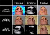 While pissing While s------- While farting Pissing S------- Farting