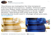 Peyton Place Kate @Shortwoman93 The Dress as metaphor for the incipient fracturing of consensus reality. Viewers split into two sides, both certain they saw it right. However, unlike Wittgenstein's duck-rabbit illusion, The Dress has only one truth. But knowing the truth won't change what you see, #Long2014 • 7:58 PM 2/22/24 From Earth • 1K Views ...