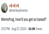 @twinkophrenia Memefrog, how'd you get so based? • 3:12 PM - Aug 27, 2024 54.9K Views