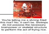 Orson Welles Shrimp Fried Rice Destiny Meme 200 You're telling me a shrimp fried this rice? No, it can't be. Shrimps do not possess the necessary brainpower or skeletal structure to perform the act of frying rice. J@fatebringerexotic