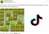 Banana Farm @BananaFarmBTD A 15-year-old is currently hospitalized after attempting a dangerous new TikTok trend, Farm Maxxing 7:57 PM · Sep 3, 2024 29.6K Views ـل