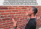 imgflip.com HOW IT FEELS TO DISLIKE A YOUTUBE VIDEO AFTER DISLIKES WERE REMOVED: