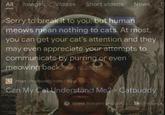 NI All Images Videos Short videos News B Sorry to break it to you, but human meows mean nothing to cats. At most, you can get your cat's attention and they may even appreciate your attempts to communicate by purring or even meowing back. Aug 12, 2021 https://catbuddy.com > Blog Can My Cat Understand Me? - Catbuddy ? About featured snippets Feedback