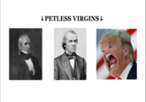↓ PETLESS VIRGINS ↓