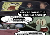 THEY'RE EATING THE I F------ DOGS R he's pulling Dog eating the card THIS EARLY? 00 if he u-turns the topic back to transgender surgeries on illegal aliens we might clutch this