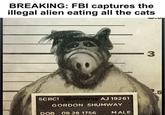 BREAKING: FBI captures the illegal alien eating all the cats SCRCI @jonsavoy AJ 19261 GORDON SHUMWAY DOB 08 28 1756 MALE 3 .5