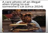A rare photo of an illegal alien trying to eat someone's cat (circa 2024)