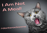 I Am Not A Meal! #dontsnackonme