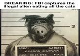 BREAKING: FBI captures the illegal alien eating all the cats SCRCI @jonsavoy AJ 19261 GORDON SHUMWAY DOB 08 28 1756 MALE - 3 2.5