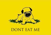 DONT EAT ME