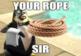 YOUR ROPE SIR