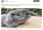 elie @catboygirlboss Follow OMG.. The LGBTQ crowd is mad because The Cabbit is stealing their attention during Pride Month. 1:03 PM ⚫ Jun 28, 2024 167.2K Views