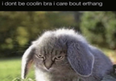 i dont be coolin bra i care bout erthang