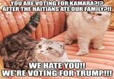 Since Taylor Swift endorsed Kamara Harris, her cats think different after they saw the cats get eaten by Haitians...